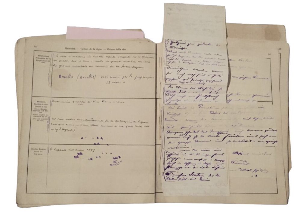 Ergebnisse der handschriftlich ausgef&uuml;llten Feldforschung von Ort