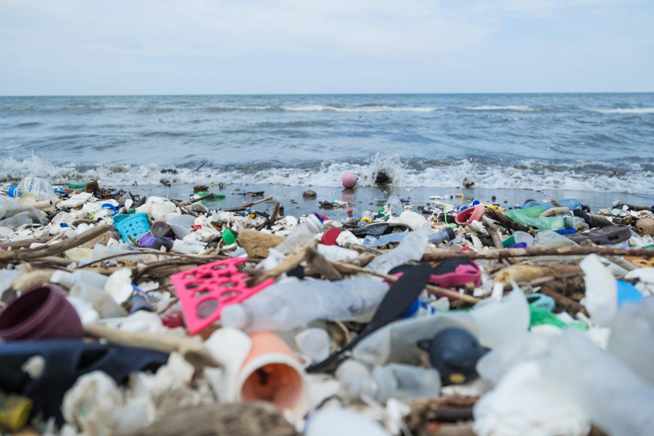 &copy; Ocean CleanUp