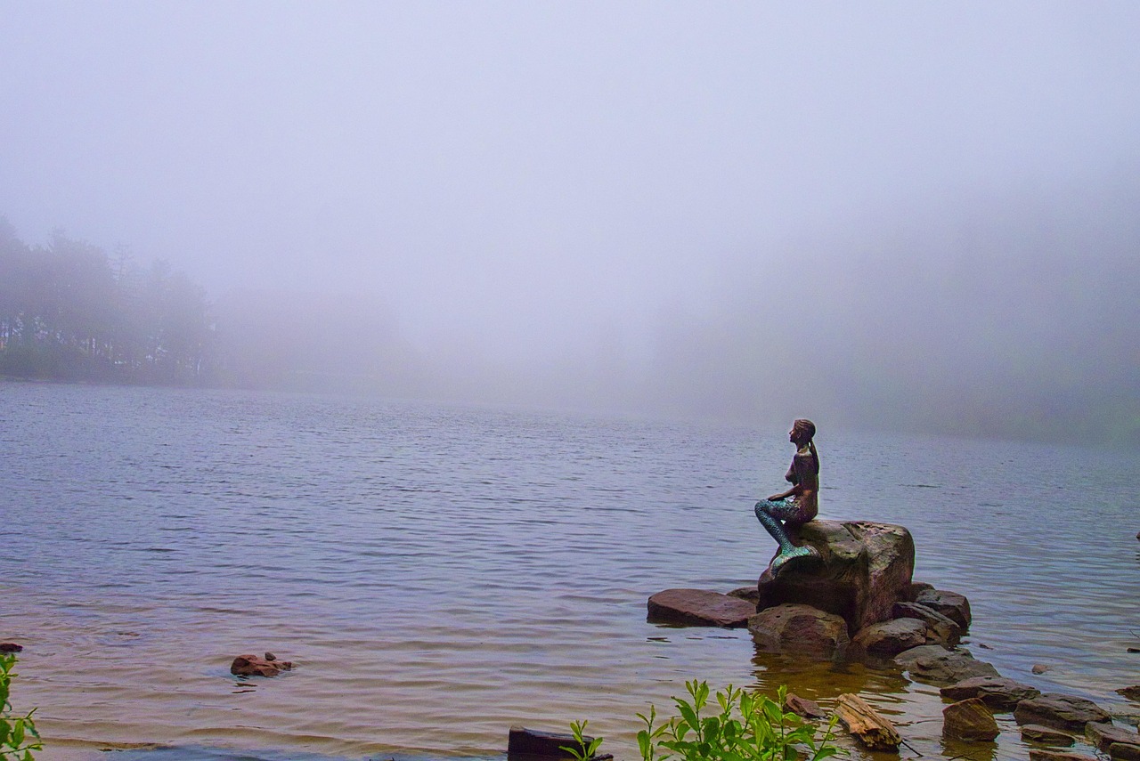 Es muss nicht immer der Ozean sein &ndash; auch im Mummelsee/Schwarzwald wurden sie offenbar gesichtet &copy; bodio/pixabay