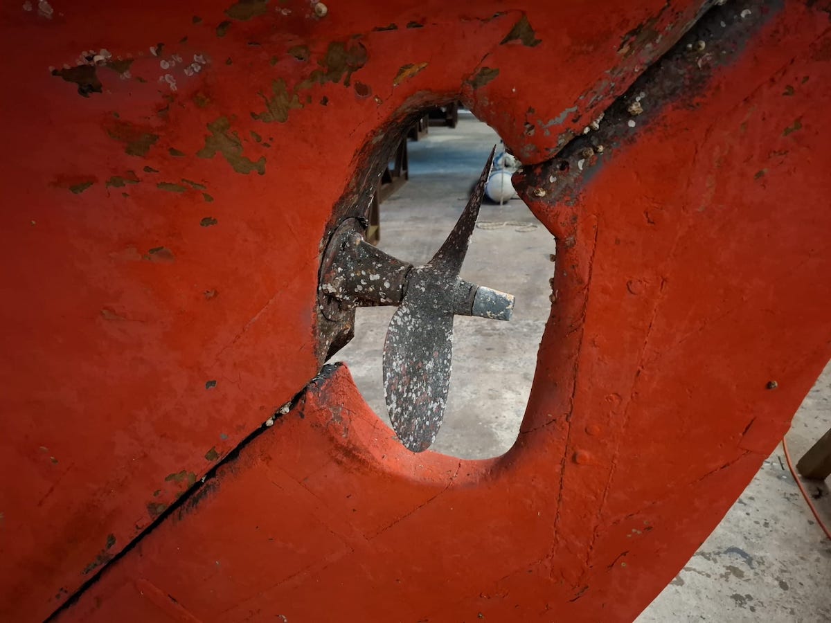 Zweifl&uuml;gler im sogenannten &bdquo;Propellerbrunnen&ldquo; zwischen Kiel und Ruderblatt eines Langkielers